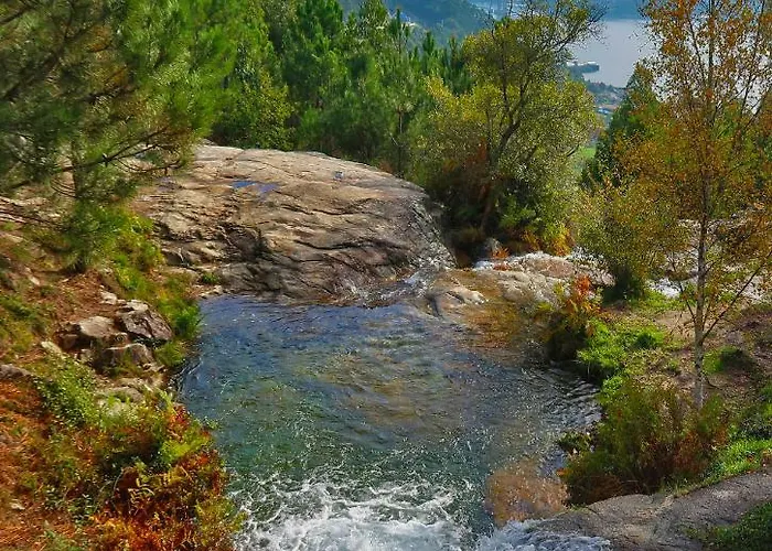 Catapeixe * Redondela